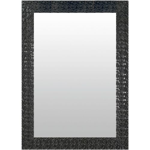 4251062278241 - Dekospiegel LENFRA Leni grau (anthrazit) Spiegel B H T 62cm x 82cm x 2cm EPS-Kunststoff Wandspiegel B62cm H82cm T2cm