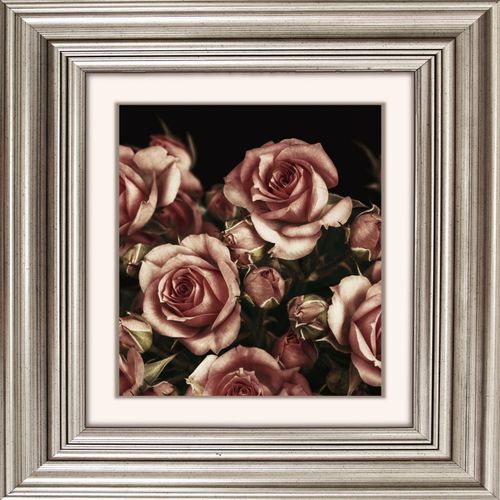 4049009353935 - Acrylglasbild »Rosen Blüten« Blumen-Blumenbilder-Kunst-Pflanzen-Pflanzenbilder-Gemälde Fine Art-Print in Galeriequalität