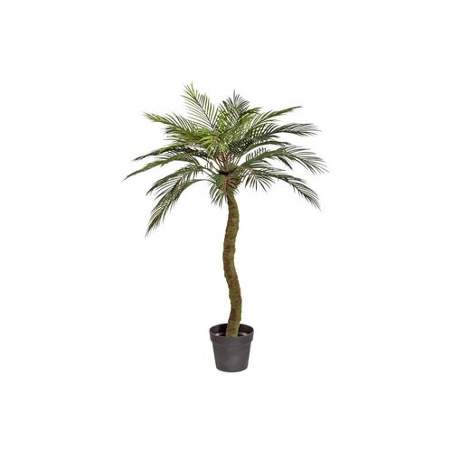 4064118245131 - P & B Kunstpflanze Braun Grün Schwarz Kunststoff 120 cm inkl Topf Dekoration Blumen & Zubehör Kunstpflanzen 4064118245131 - P & B Kunstpflanze Braun Grün Schwarz Kunststoff 120 cm inkl Topf Dekoration Blumen & Zubehör Kunstpflanzen
