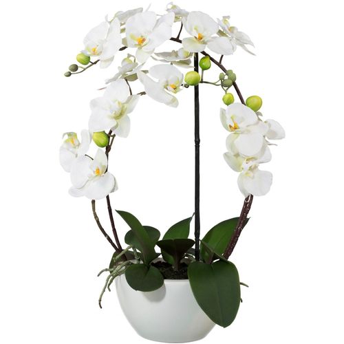 4003529740927 - Kunstpflanze CREATIV GREEN Phalaenopsis Kunstpflanzen Gr H 52 cm 1 St weiß Kunstorchidee Kunstpflanze Zimmerpflanze Künstliche Zimmerpflanzen Kunstpflanzen 4003529740927 - Kunstpflanze CREATIV GREEN Phalaenopsis Kunstpflanzen Gr H 52 cm 1 St weiß Kunstorchidee Kunstpflanze Zimmerpflanze Künstliche Zimmerpflanzen Kunstpflanzen