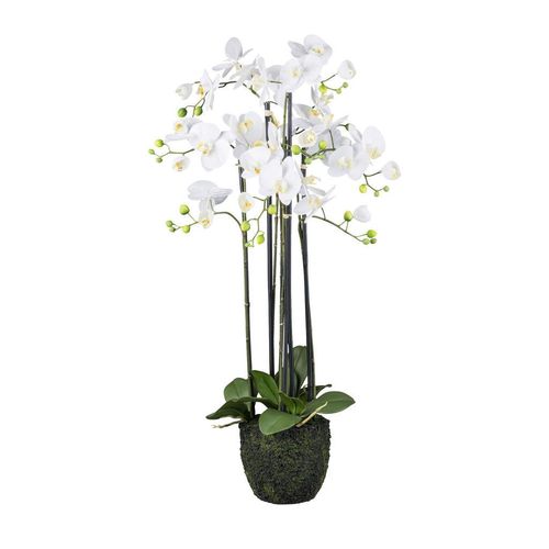 4064118249054 - P & B Kunstpflanze Grün Weiß Kunststoff 93 cm Real-Touch-Oberfläche Dekoration Blumen & Zubehör Kunstpflanzen 4064118249054 - P & B Kunstpflanze Grün Weiß Kunststoff 93 cm Real-Touch-Oberfläche Dekoration Blumen & Zubehör Kunstpflanzen