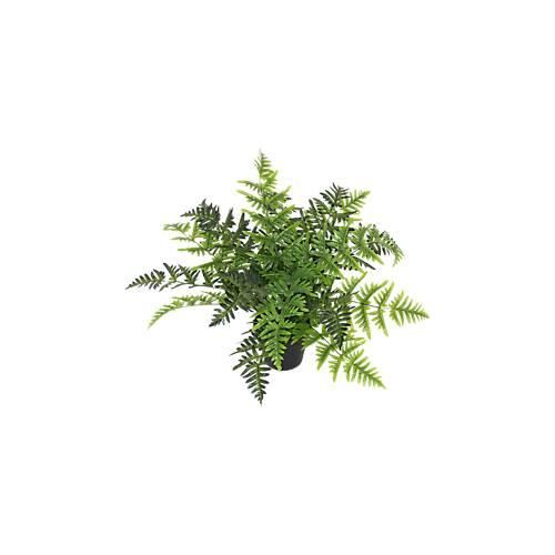 3660141963403 - Kunstpflanze meet® by Paperflow Farn inkl Kunststoff-Topf H 550 mm PEVA 3660141963403 - Kunstpflanze meet® by Paperflow Farn inkl Kunststoff-Topf H 550 mm PEVA