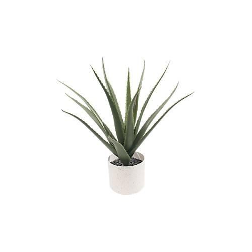 3660141963533 - Kunstpflanze meet® by Paperflow Aloe Vera inkl Kunststoff-Topf H 450 mm PE 3660141963533 - Kunstpflanze meet® by Paperflow Aloe Vera inkl Kunststoff-Topf H 450 mm PE