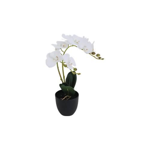 3660141963427 - Kunstpflanze meet® by Paperflow Weiße Orchidee inkl Kunststoff-Topf H 400 mm Seide Kunststoff 3660141963427 - Kunstpflanze meet® by Paperflow Weiße Orchidee inkl Kunststoff-Topf H 400 mm Seide Kunststoff