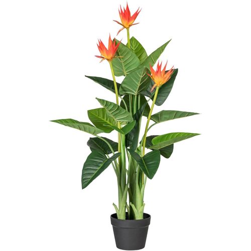 4003529786567 - Kunstpflanze CREATIV GREEN Guzmania Kunstpflanzen Gr H 105 cm 1 St orange Kunstpflanze Zimmerpflanze Künstliche Zimmerpflanzen Kunstpflanzen