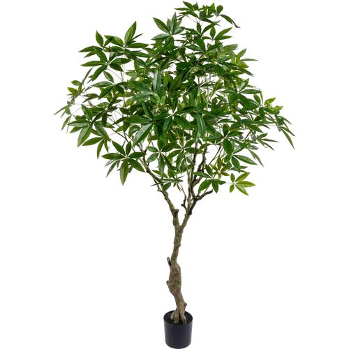 4064118144267 - Kunstbaum CREATIV GREEN Arecapalme Kunstpflanzen Gr Ø H 140 cm x 220 cm 1 St grün Kunst-Bäume im Topf 4064118144267 - Kunstbaum CREATIV GREEN Arecapalme Kunstpflanzen Gr Ø H 140 cm x 220 cm 1 St grün Kunst-Bäume im Topf