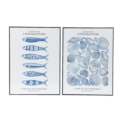 8720725469211 - Bild MUSCHELN 8720725469211 - Bild MUSCHELN