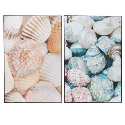 8720725479012 - Bild MUSCHELN