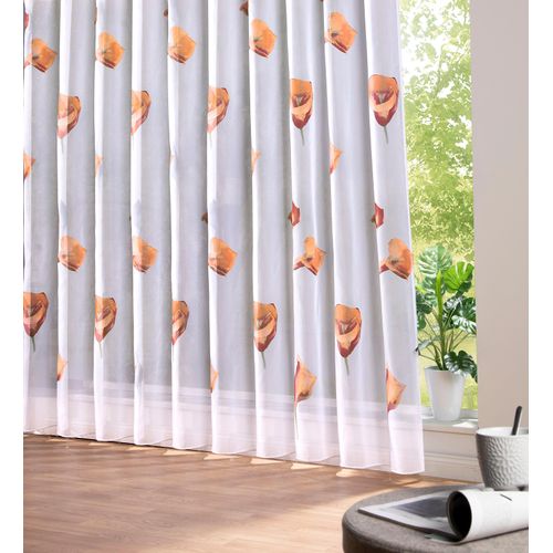 4005385834796 - Gardine WECKBRODT Calla Gr 5 weiß (weiß terra) B500cm H175cm Polyester Gardinen Voile bedruckt floral geblümt halbtransparent Bleiband Store 4005385834796 - Gardine WECKBRODT Calla Gr 5 weiß (weiß terra) B500cm H175cm Polyester Gardinen Voile bedruckt floral geblümt halbtransparent Bleiband Store