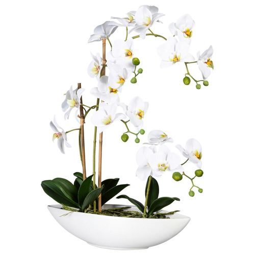 4064118246626 - P & B Kunstpflanze Grün Weiß Kunststoff 60 cm inkl Topf Real-Touch-Oberfläche Dekoration Blumen & Zubehör Kunstpflanzen 4064118246626 - P & B Kunstpflanze Grün Weiß Kunststoff 60 cm inkl Topf Real-Touch-Oberfläche Dekoration Blumen & Zubehör Kunstpflanzen