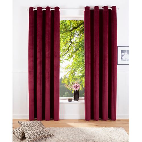 6973124814638 - Vorhang MY HOME Velvet Uni Gr 1 rot B140cm H145cm Polyester Polyester Gardinen Samt 2-er Set Vorhang edel einfarbig 6973124814638 - Vorhang MY HOME Velvet Uni Gr 1 rot B140cm H145cm Polyester Polyester Gardinen Samt 2-er Set Vorhang edel einfarbig
