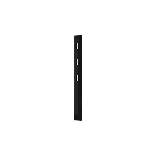 4005949325586 - Garderobenpaneel Susanna Wandmontage 3 Klapphaken bis 5 kg B 150 x T 40 x H 1700 mm MDF schwarz 4005949325586 - Garderobenpaneel Susanna Wandmontage 3 Klapphaken bis 5 kg B 150 x T 40 x H 1700 mm MDF schwarz