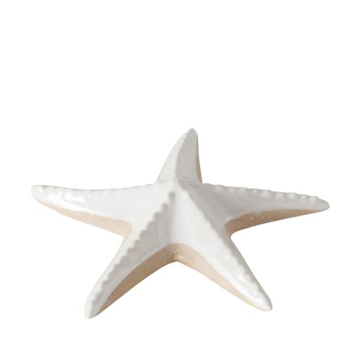 4066076455805 - Aufsteller SHELBY