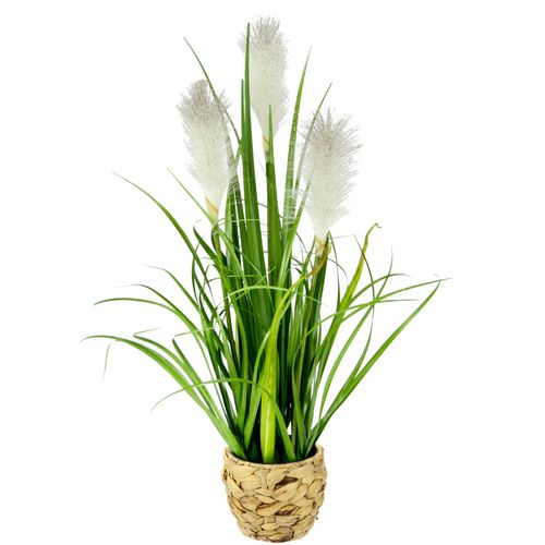4019844795061 - Kunstpflanze IGEA Pampasgras Kunstpflanzen Gr B H L 20 cm x 55 cm x 20 cm weiß Künstliche Zimmerpflanzen Mit Übertopf künstliches Pampas Gras