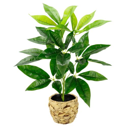 4019844791308 - Kunstpflanze IGEA Schefflera Kunstpflanzen Gr B H L 30 cm x 48 cm x 30 cm grün Weitere Weihnachtsdeko Mit Übertopf Künstliche Seidenblumen 4019844791308 - Kunstpflanze IGEA Schefflera Kunstpflanzen Gr B H L 30 cm x 48 cm x 30 cm grün Weitere Weihnachtsdeko Mit Übertopf Künstliche Seidenblumen