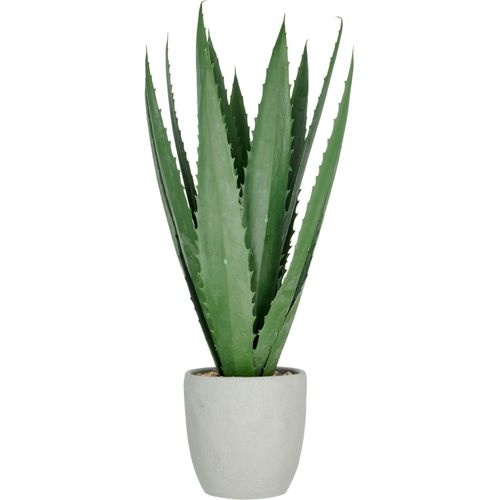 4064118326243 - Kunstpflanze CREATIV GREEN Agave grün H80cm Kunststoff Kunstpflanzen mit 13 Agavenblättern 4064118326243 - Kunstpflanze CREATIV GREEN Agave grün H80cm Kunststoff Kunstpflanzen mit 13 Agavenblättern