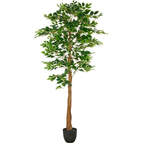 4064118326427 - Kunstbaum CREATIV GREEN Ficus Benjamina grün H150cm Kunststoff Kunstpflanzen mit naturgetreuem Blattwerk und Stamm 4064118326427 - Kunstbaum CREATIV GREEN Ficus Benjamina grün H150cm Kunststoff Kunstpflanzen mit naturgetreuem Blattwerk und Stamm