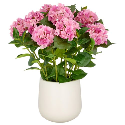 4064118325673 - Kunstpflanze CREATIV GREEN Hortensie pink H70cm Kunststoff Kunstpflanzen im eleganten Topf 4064118325673 - Kunstpflanze CREATIV GREEN Hortensie pink H70cm Kunststoff Kunstpflanzen im eleganten Topf