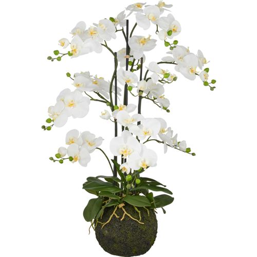 4064118325697 - Kunstorchidee CREATIV GREEN Orchidee Phalaenopsis weiß H110cm Kunststoff Kunstpflanzen mit künstlichem Erdballen 4064118325697 - Kunstorchidee CREATIV GREEN Orchidee Phalaenopsis weiß H110cm Kunststoff Kunstpflanzen mit künstlichem Erdballen