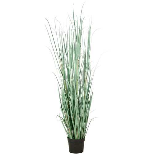 4064118325581 - Kunstgras CREATIV GREEN Grasbusch Cortaderia grün H175cm Kunststoff Kunstpflanzen in opulenter Größe 4064118325581 - Kunstgras CREATIV GREEN Grasbusch Cortaderia grün H175cm Kunststoff Kunstpflanzen in opulenter Größe