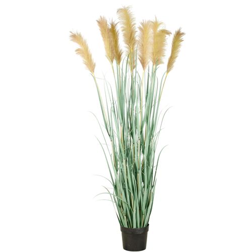 4064118325598 - Kunstgras CREATIV GREEN Grasbusch Cortaderia grün H175cm Kunststoff Kunstpflanzen in opulenter Größe 4064118325598 - Kunstgras CREATIV GREEN Grasbusch Cortaderia grün H175cm Kunststoff Kunstpflanzen in opulenter Größe