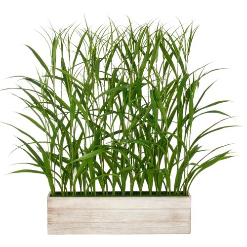 4064118325529 - Kunstgras CREATIV GREEN Raumteiler Gras grün B72cm H120cm T15cm Kunststoff Kunstpflanzen mit filigranen Grashalmen 4064118325529 - Kunstgras CREATIV GREEN Raumteiler Gras grün B72cm H120cm T15cm Kunststoff Kunstpflanzen mit filigranen Grashalmen