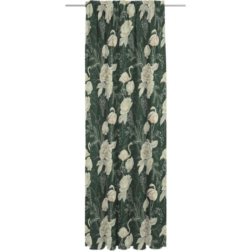 4004567313661 - Vorhang ADAM Eden Gr 1 grün Gardinen 145cm Multifunktionsband 142cm Baumwolle nachhaltig aus Bio-Baumwolle B142cm H145cm 4004567313661 - Vorhang ADAM Eden Gr 1 grün Gardinen 145cm Multifunktionsband 142cm Baumwolle nachhaltig aus Bio-Baumwolle B142cm H145cm