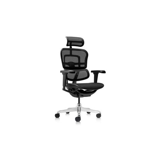 4064323045632 - Luxus Chefsessel ERGOHUMAN ULTRA GEN2 Netzstoff mit Armlehnen (höhenverstellbar) 4064323045632 - Luxus Chefsessel ERGOHUMAN ULTRA GEN2 Netzstoff mit Armlehnen (höhenverstellbar)