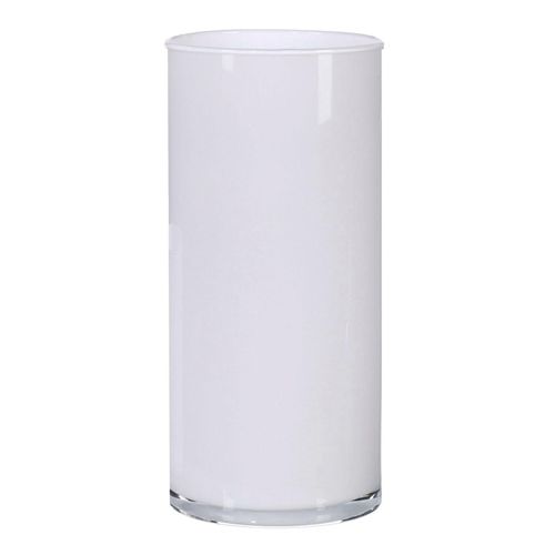 4003529261927 - Glasvase Zylinder