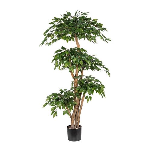 4064118244929 - P & B Kunstpflanze Grün Kunststoff 170 cm mit Naturstamm Dekoration Blumen & Zubehör Kunstpflanzen 4064118244929 - P & B Kunstpflanze Grün Kunststoff 170 cm mit Naturstamm Dekoration Blumen & Zubehör Kunstpflanzen