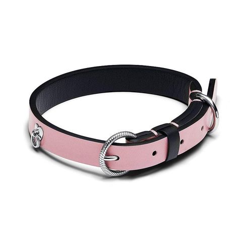 5700302997743 - Hundehalsband Moments 312262C02-M 5700302997743 - Hundehalsband Moments 312262C02-M