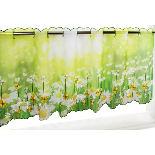 4022236361287 - Scheibengardine DELINDO LIFESTYLE Margeriten Gardinen grün Wohnaccessoires Gardine zwei Größen