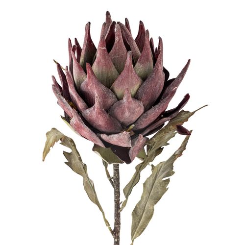 5711173332076 - Kunstblume Protea Stiel Violett Ø 20 x H76 cm 5711173332076 - Kunstblume Protea Stiel Violett Ø 20 x H76 cm