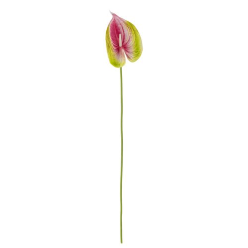5711173335084 - Flamingo Stiel Pink Künstliche Blume Ø 10xH57 cm 5711173335084 - Flamingo Stiel Pink Künstliche Blume Ø 10xH57 cm