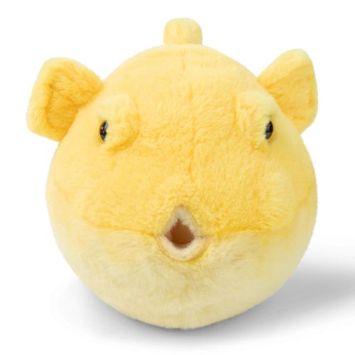 8719066012835 - - Plüschtier - Kugelfisch (15cm) lebensecht Kuscheltier Stofftier Plüschfigur 8719066012835 - - Plüschtier - Kugelfisch (15cm) lebensecht Kuscheltier Stofftier Plüschfigur