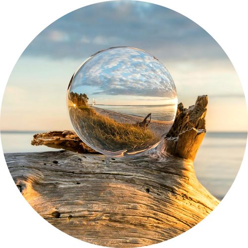 4019449458354 - PRO ART Glasbild DROP ON WOOD (D 30 cm) D 30 cm bunt Acrylglasbild