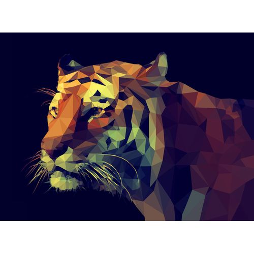 4019449406461 - PRO ART Keilrahmenbild COLOURFUL TIGER (BHT 120x90x240 cm) BHT 120x90x240 cm bunt 4019449406461 - PRO ART Keilrahmenbild COLOURFUL TIGER (BHT 120x90x240 cm) BHT 120x90x240 cm bunt