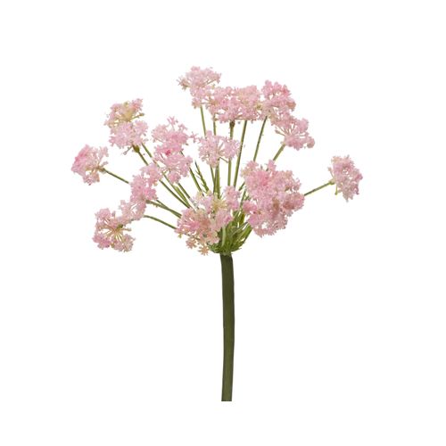 8720725771048 - Kunstblume QUEEN Anne (DH 15x74 cm) DH 15x74 cm pink Pflanze Kunstpflanze Zimmerpflanze 8720725771048 - Kunstblume QUEEN Anne (DH 15x74 cm) DH 15x74 cm pink Pflanze Kunstpflanze Zimmerpflanze