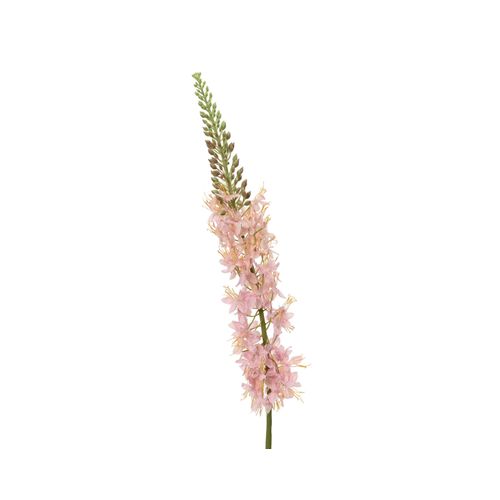8720725761018 - Kunstblume Fuchsschwanz (DH 8x96 cm) DH 8x96 cm pink Pflanze Kunstpflanze Zimmerpflanze