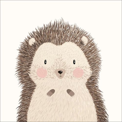 4019449482182 - PRO ART Keilrahmenbild LITTLE HEDGEHOG (BHT 27x27x2 cm) BHT 27x27x2 cm bunt 4019449482182 - PRO ART Keilrahmenbild LITTLE HEDGEHOG (BHT 27x27x2 cm) BHT 27x27x2 cm bunt