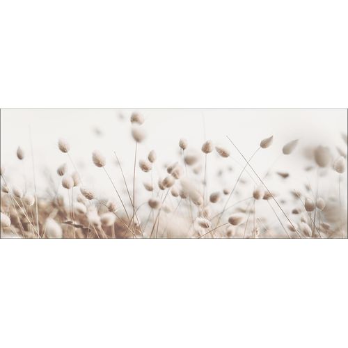 4019449491986 - Keilrahmenbild DRIED FIBER II (BHT 77x27x2 cm) PRO ART 4019449491986 - Keilrahmenbild DRIED FIBER II (BHT 77x27x2 cm) PRO ART