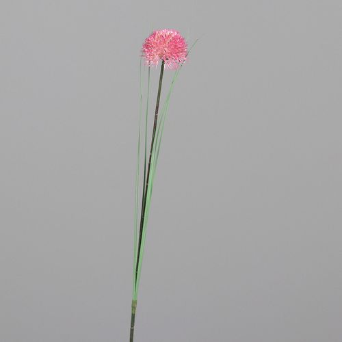 4099886026576 - Kunstblume Allium (H 66 cm)