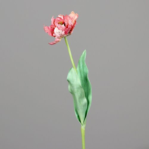 4099886026248 - Kunstblume Tulpe (H 64 cm)