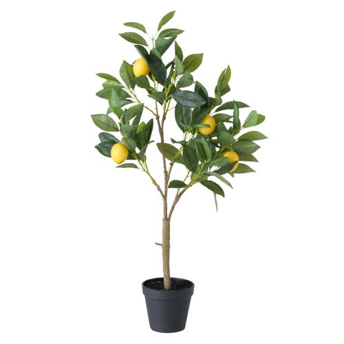 4020607844575 - Kunstfpflanze ZITRONENBAUM (BHT 20x73x30 cm) BHT 20x73x30 cm bunt 4020607844575 - Kunstfpflanze ZITRONENBAUM (BHT 20x73x30 cm) BHT 20x73x30 cm bunt