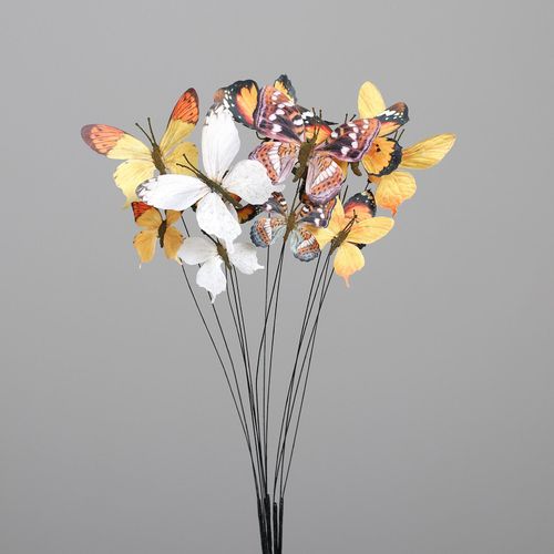 4099886049667 - Schmetterling