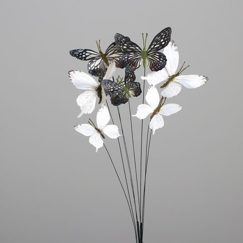 4099886049681 - Schmetterling