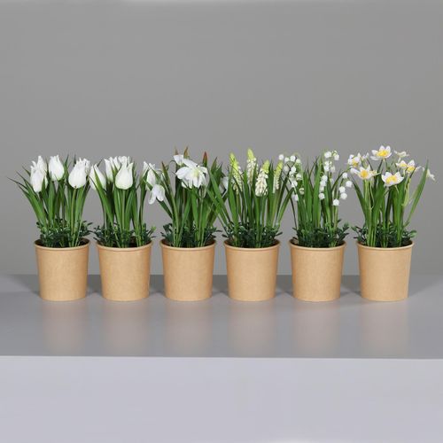 4099886025500 - Kunstblume FRÜHJAHRSBLÜHER 4099886025500 - Kunstblume FRÜHJAHRSBLÜHER