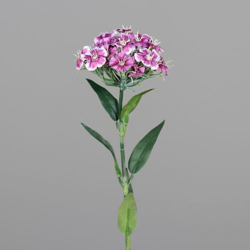 4099886006998 - Kunstblume DIANTHUS
