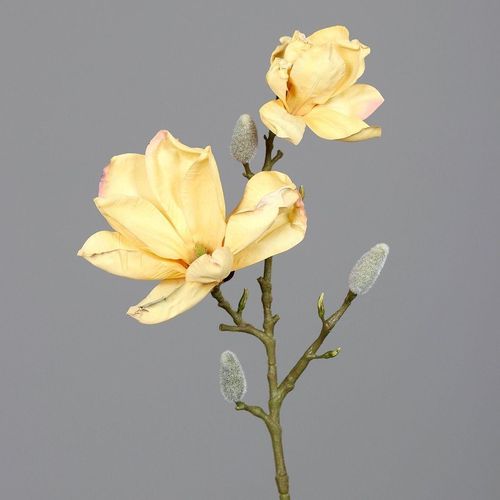 4027234931050 - Kunstblume Magnolie (H 55 cm) H 55 cm gelb Pflanze Kunstpflanze Zimmerpflanze 4027234931050 - Kunstblume Magnolie (H 55 cm) H 55 cm gelb Pflanze Kunstpflanze Zimmerpflanze