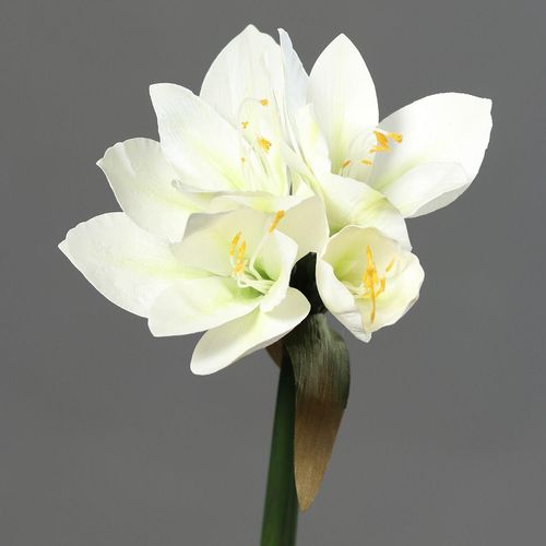4027234869216 - Kunstblume Amaryllis (H 30 cm) H 30 cm beige Pflanze Kunstpflanze Zimmerpflanze 4027234869216 - Kunstblume Amaryllis (H 30 cm) H 30 cm beige Pflanze Kunstpflanze Zimmerpflanze